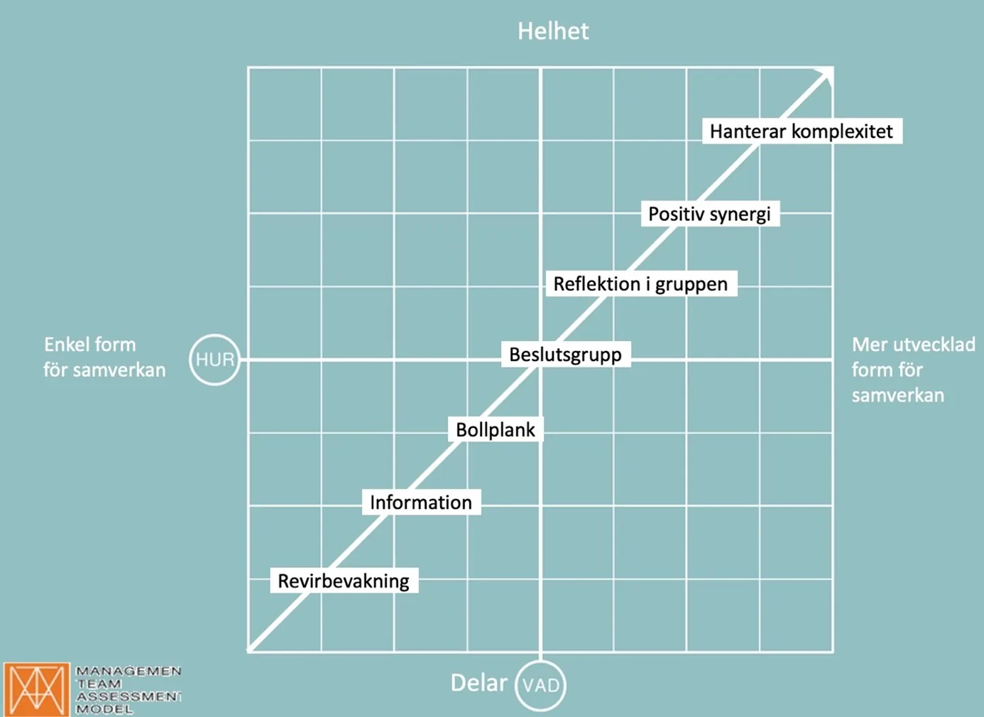 Diagram med rutnät och diagonal pil från nederkant vänster mot övre höger.
                                Etapper: Revirbevakning, Information, Bollplank, Beslutsgrupp, Reflektion i gruppen, Positiv synergi, Hanterar komplexitet.
                                X-axel: “Delar (Vad)”. Y-axel: “Hur”, med “Helhet” högst upp.